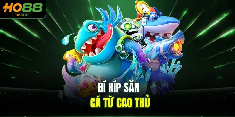 Bí kíp săn cá từ cao thủ