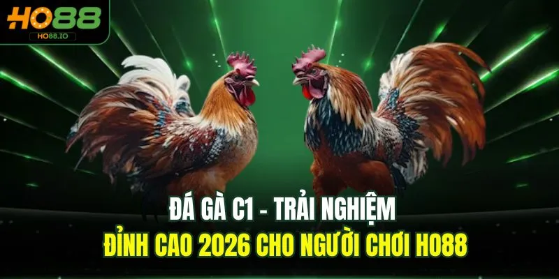 Đá gà C1