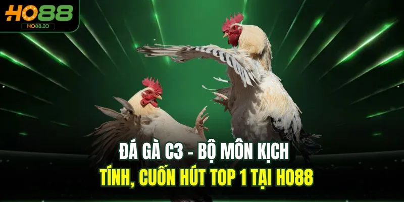 Đá gà C3