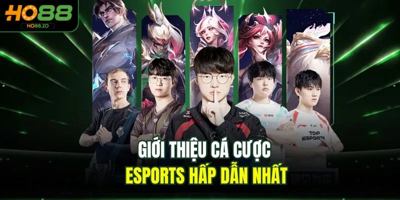 Esports HO88 - Sân Chơi Cá Cược Đẳng Cấp Nhất 2026 2 Giới thiệu cá cược Esports hấp dẫn nhất