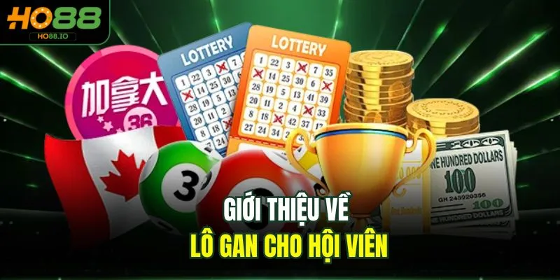 Giới thiệu về lô gan cho hội viên