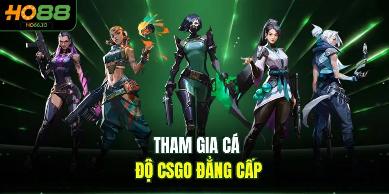 Esports HO88 - Sân Chơi Cá Cược Đẳng Cấp Nhất 2026 3 Tham gia cá độ csgo đẳng cấp